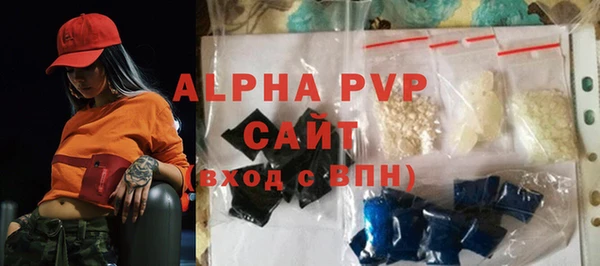 шишки Гусиноозёрск