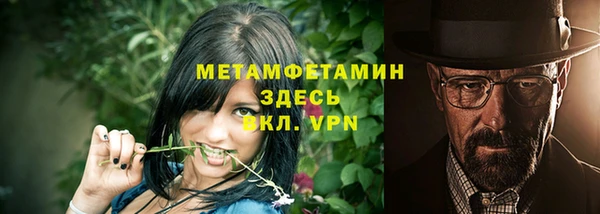 шишки Гусиноозёрск