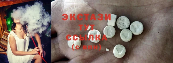 индика Гусев