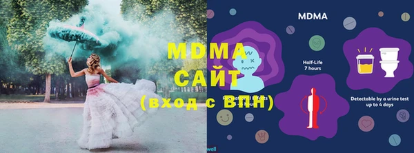 индика Гусев