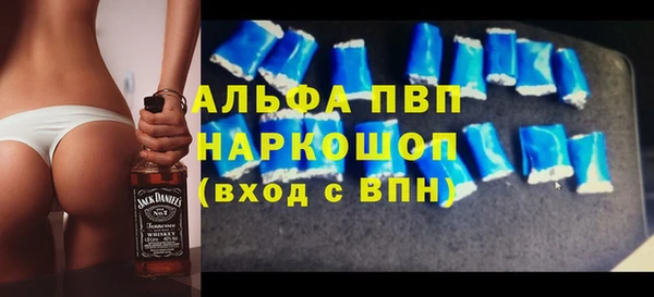 индика Гусев