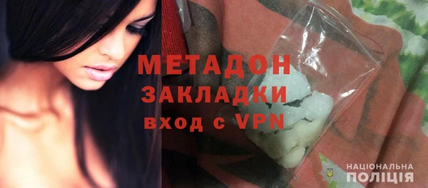 шишки Гусиноозёрск