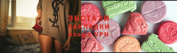 индика Гусев
