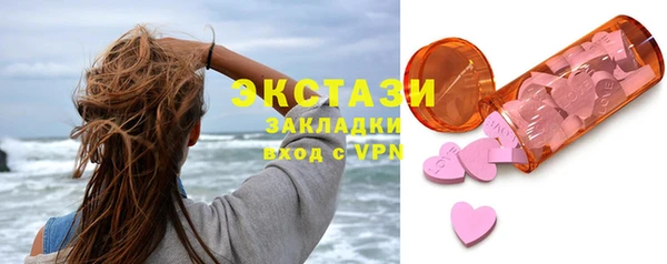 шишки Гусиноозёрск