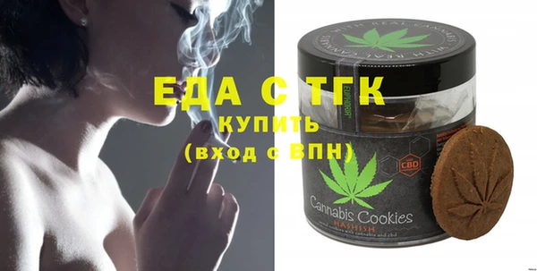 индика Гусев