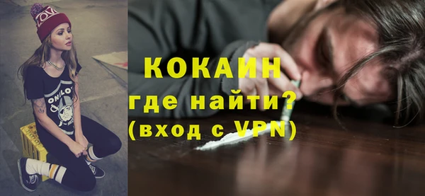 шишки Гусиноозёрск