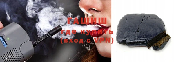 шишки Гусиноозёрск