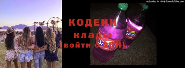 шишки Гусиноозёрск