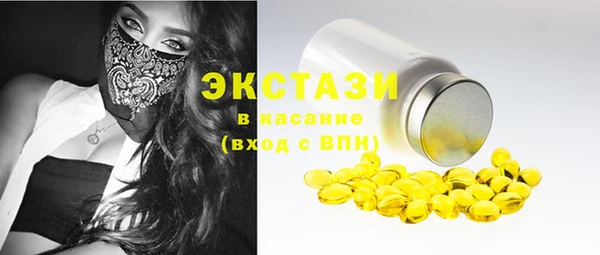 шишки Гусиноозёрск