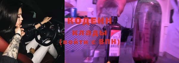 индика Гусев