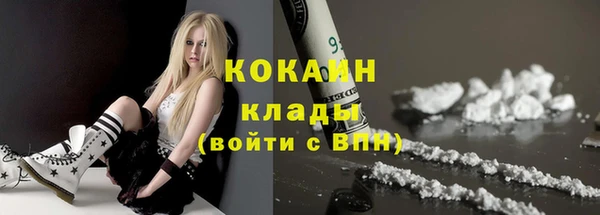 шишки Гусиноозёрск