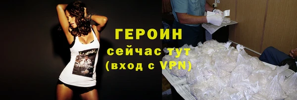 шишки Гусиноозёрск