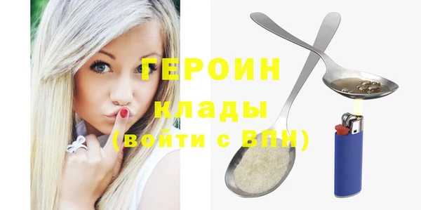 шишки Гусиноозёрск