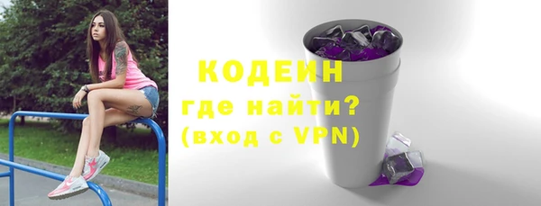 индика Гусев