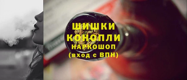 индика Гусев