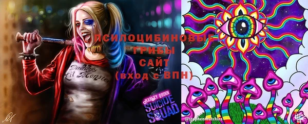 прущая мука Гусь-Хрустальный