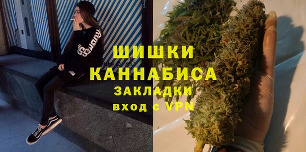 индика Гусев