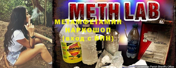 индика Гусев
