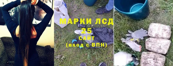 шишки Гусиноозёрск
