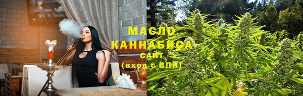 индика Гусев