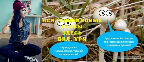 прущая мука Гусь-Хрустальный