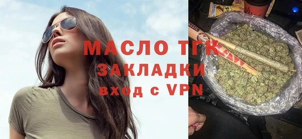 индика Гусев