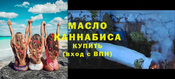 индика Гусев