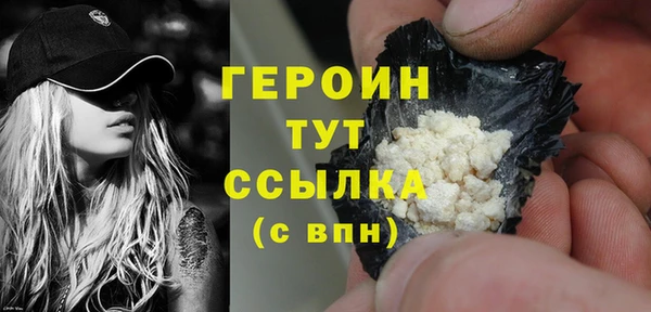 индика Гусев
