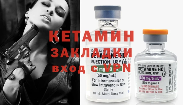 индика Гусев