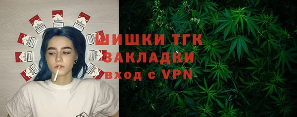 индика Гусев