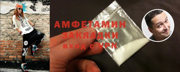 индика Гусев