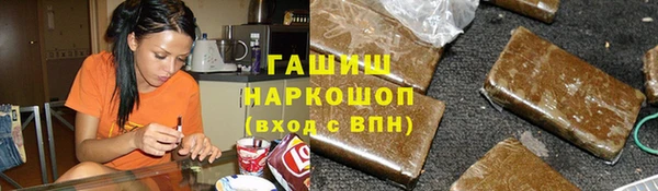 индика Гусев
