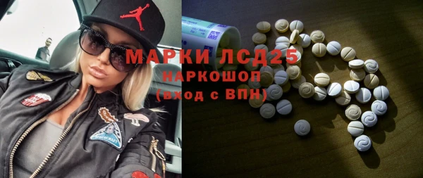 шишки Гусиноозёрск