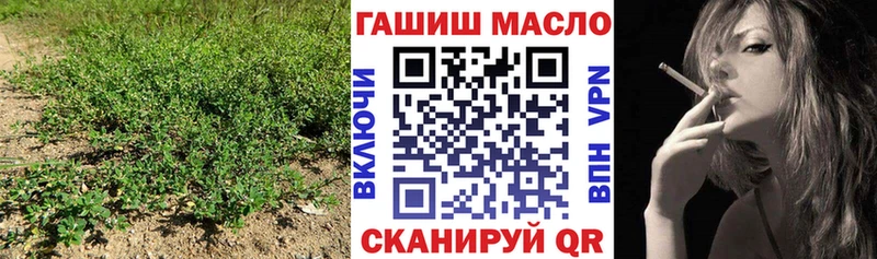 Дистиллят ТГК гашишное масло  Купить закладки  Армавир 