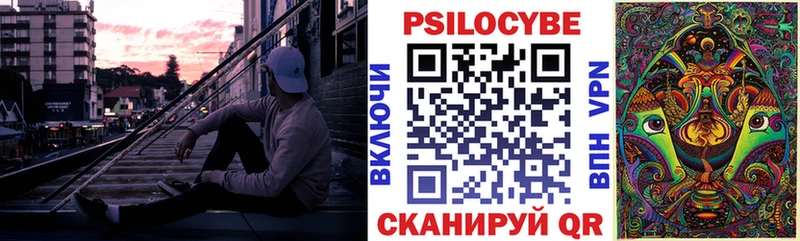 Псилоцибиновые грибы Psilocybe  Купить где  Армавир 